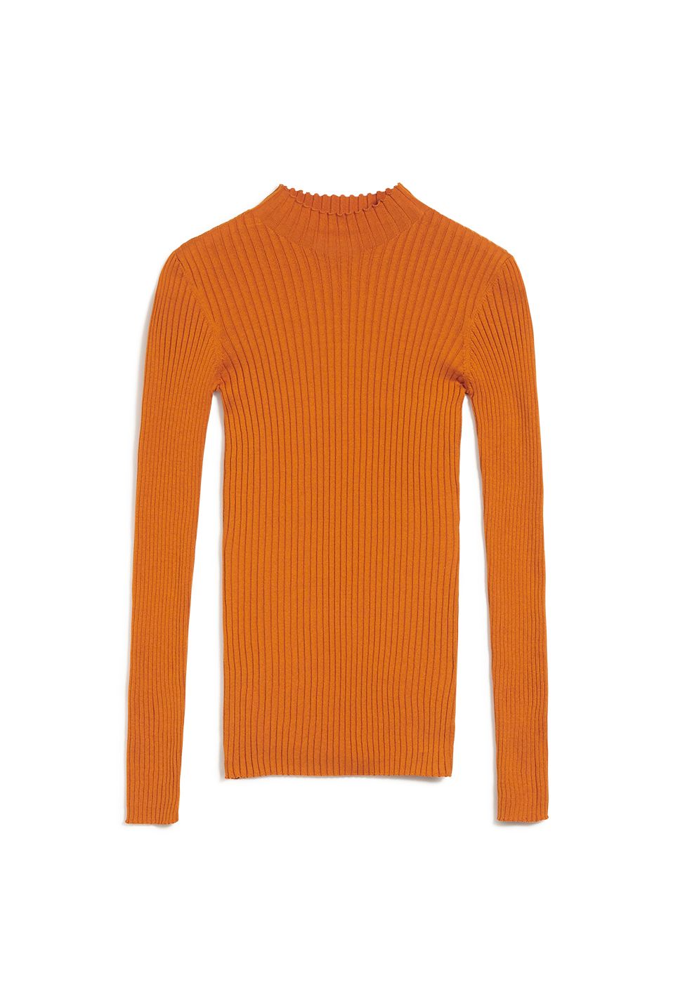 ALAANIA | pumpkin