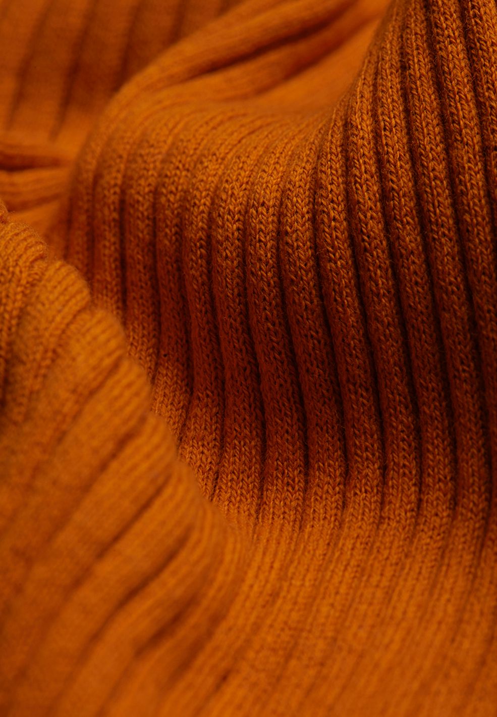 ALAANIA | pumpkin