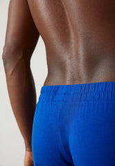 AASKER BOXERSHORTS | dynamo blue